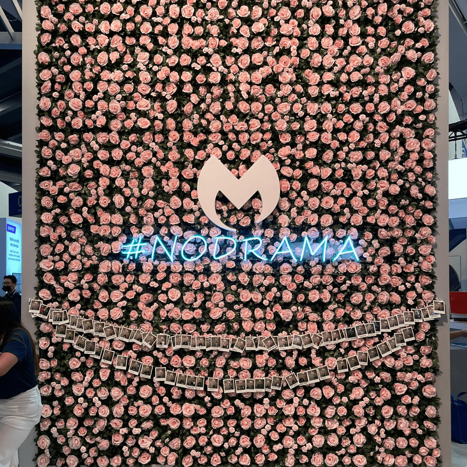 Malwarebytes' rose wall