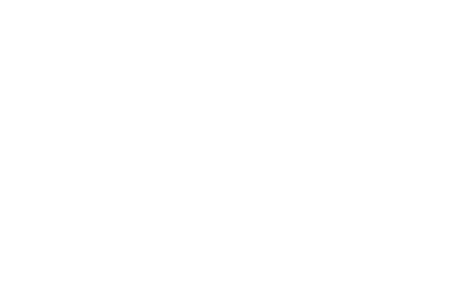 Logo DN Solutions logo